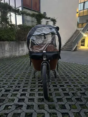 E-Bike Lastenrad  Bild 3