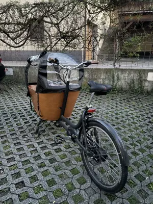 E-Bike Lastenrad  Bild 5