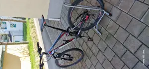 Mountenbike Bild 3