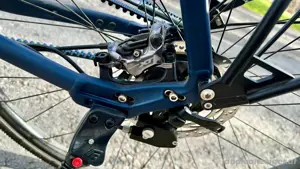 Citybike Herren VeloDeVille, 60cm RH, 28", Riemenantrieb, 14-Gang Rohloff - Top Zustand! Bild 6