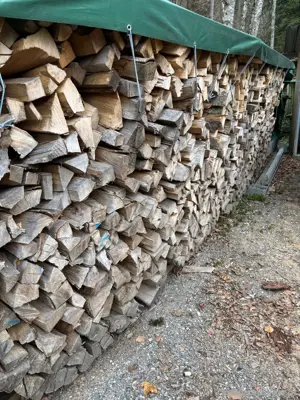 Brennholz zu verkaufen Bild 2