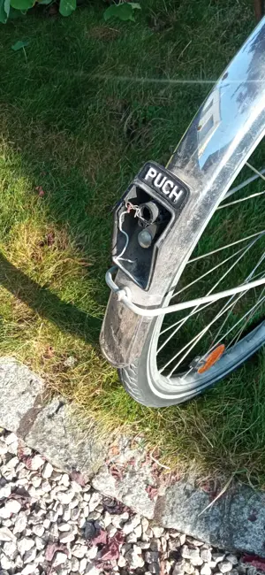 Göppel von Puch Bild 5