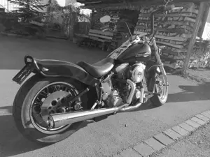 Verkaufe Harley Davidson Softail-FXST  Bild 2