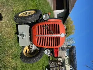 Steyr T190s - original Schmalspur Bild 9