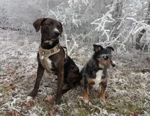 Mogli - NOTFALL Österreich Bild 7