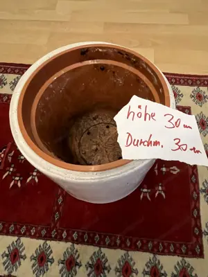 Verkaufe sehr günstig zwei Blumen Behältnisse ! Bild 3