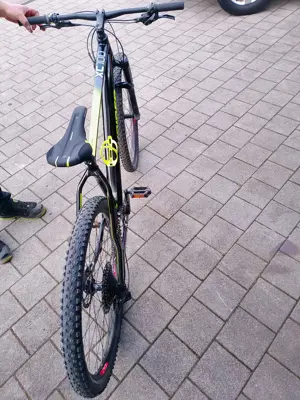 Mountainbike 29 Zoll Bild 3
