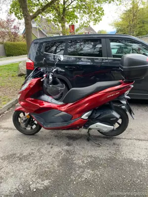 Honda PCX 125 rot Bild 3