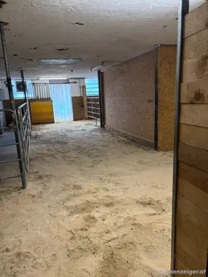 4 Offenställe für Kleingruppen, Boxen, Reithalle, Reitplatz usw. Bild 6