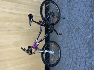 X-Fact 3.1.Lady Jugendfahrrad Bild 3