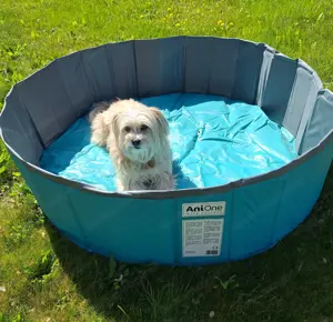 Hundepool 