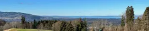 Dein neues Zuhause mit herrlichem Blick auf den Bodensee   über den Wolken von Dornbirn Bild 3