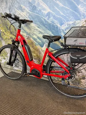 E-Bike Tiefeinsteiger "Drissner-Line" Bild 5