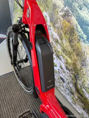 E-Bike Tiefeinsteiger "Drissner-Line" Bild 4