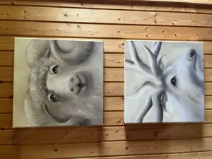 Wandbild Steinbock Bild 2