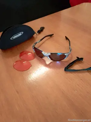 Sport Sonnenbrille Alpina Ceramik Bild 4