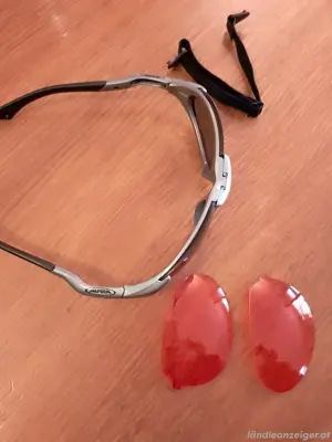 Sport Sonnenbrille Alpina Ceramik Bild 2