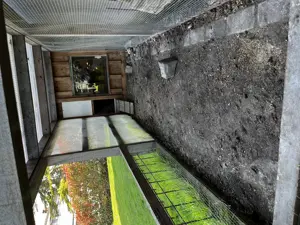 Kleintierstall Zwerghühner, Wachteln, Kükenzucht,Hasen, Schildkröte  Bild 8