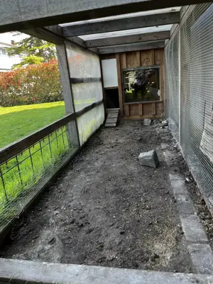 Kleintierstall Zwerghühner, Wachteln, Kükenzucht,Hasen, Schildkröte  Bild 9