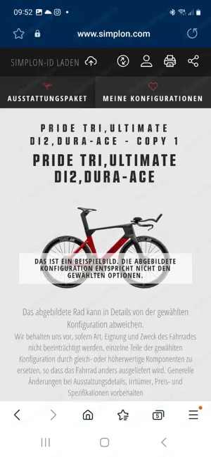 Simplon Pride II Triathlonrad Bild 6
