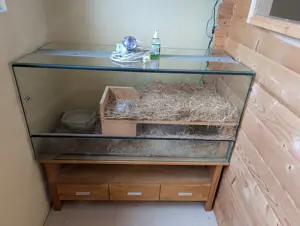 Terrarium mit Unterschrank Bild 5