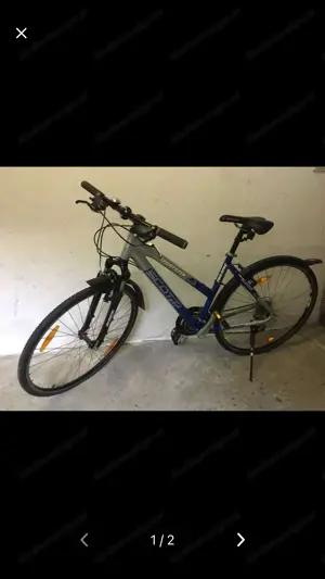 Scott Fahrrad 