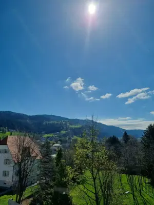 Schöne Wohnung in Lochau  Bild 2