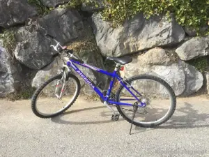 Jugendfahrrad Bild 3