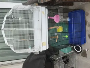 Vögel Käfig zum