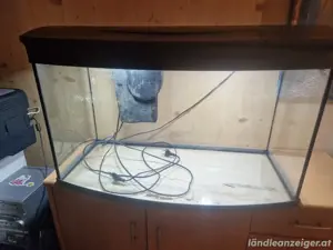 Tetra Aquarium 100 Liter Led Bild 5