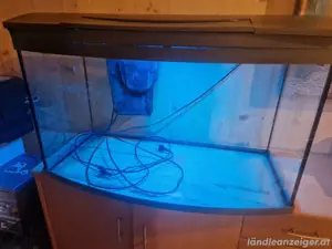 Tetra Aquarium 100 Liter Led Bild 2