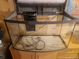 Tetra Aquarium 100 Liter Led Bild 4
