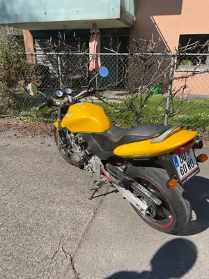 Motorrad Honda Hornet 2000 Unfallfrei, Topzustand Bild 6