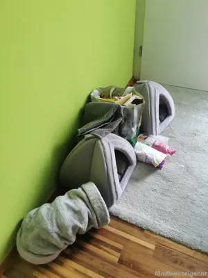 Katzenzubehör 