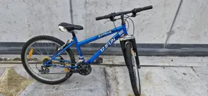Jungen Fahrrad Blau Bild 2