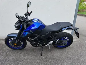 Yamaha MT125 2024 Bild 5