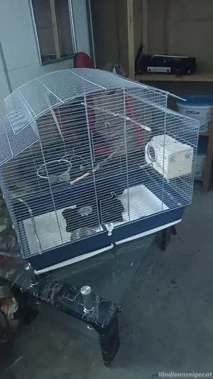 Vogelkäfig