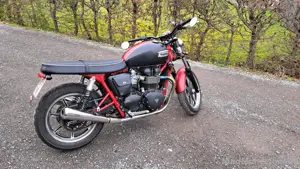 Triumph Bonneville 2014 frisch vorgeführt Bild 5
