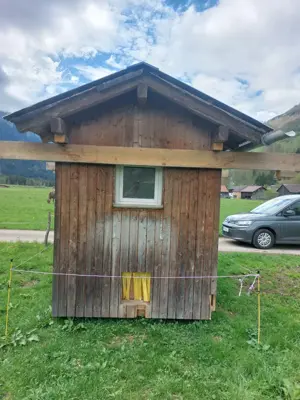 Hühnerstall  Gartenhaus  Bild 3