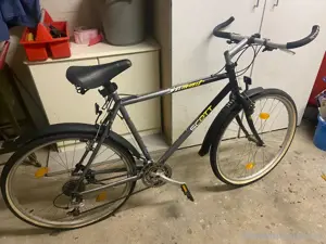 Herren Fahrrad Bild 4