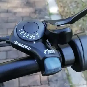 Elektrofahrrad Bild 4