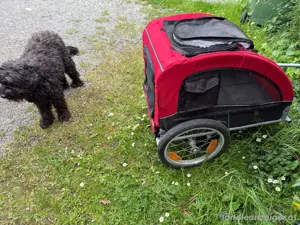 Hundeanhänger Bild 2