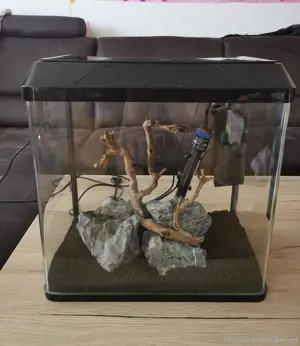 Aquarium 30l Bild 2