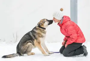 Sever hat sein ganzes Leben in einem Tierheim verbracht und träumt von einem Zuhause. Bild 5