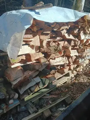 Brennholz aus der Region   Hartholz Bild 7