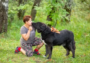 Der große und ruhige Baikal sucht eine Familie Bild 4