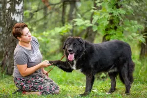 Der große und ruhige Baikal sucht eine Familie Bild 6