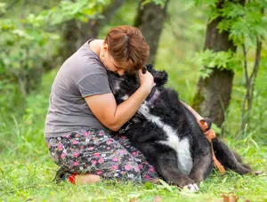 Der große und ruhige Baikal sucht eine Familie Bild 8