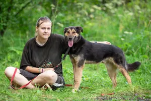 Der freundliche und bescheidene Elon sucht eine Familie Bild 4