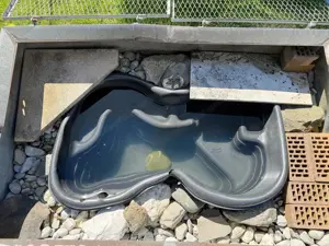 Teich und Teichpumpe zu verschenken